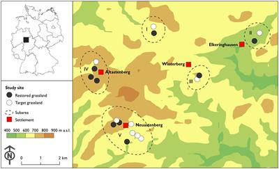 Rapid response of vascular plants and insects to restoration of montane grasslands